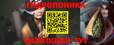 прущие крисы Краснодар