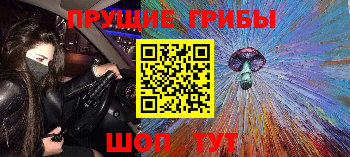 Знаменск  Галлюциногенные грибы Psilocybine cubensis  Вход с VPN  Псилоцибиновые грибы GOLDEN TEACHER 
